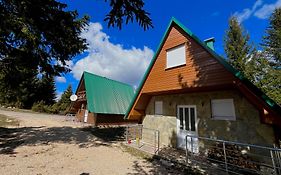Villa Pejovic